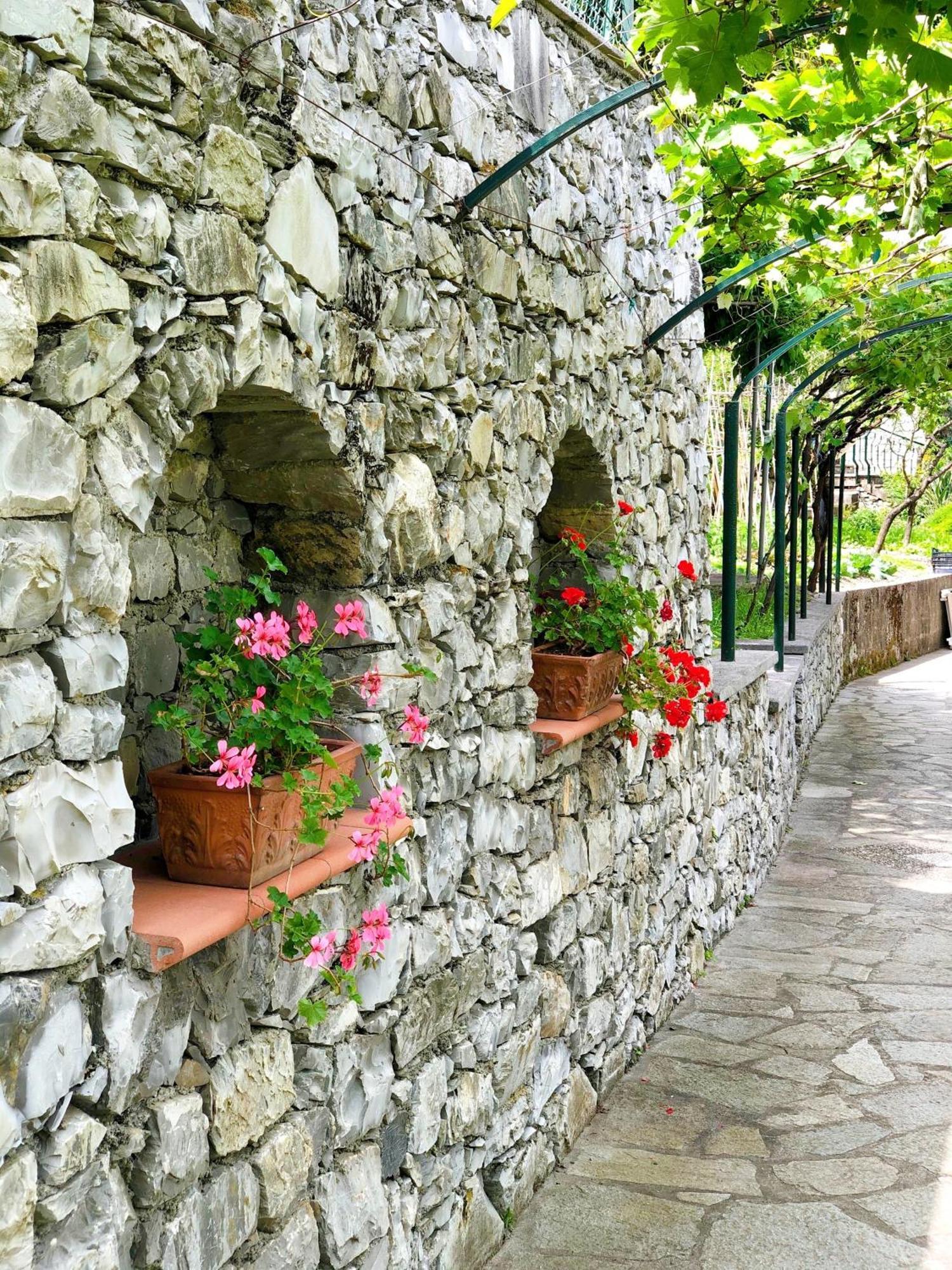 Edera & La Torretta 4*